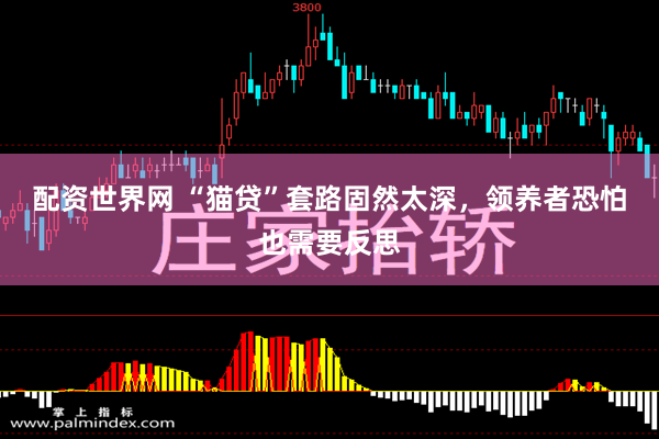 配资世界网 “猫贷”套路固然太深，领养者恐怕也需要反思