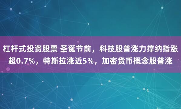 杠杆式投资股票 圣诞节前，科技股普涨力撑纳指涨超0.7%，特斯拉涨近5%，加密货币概念股普涨