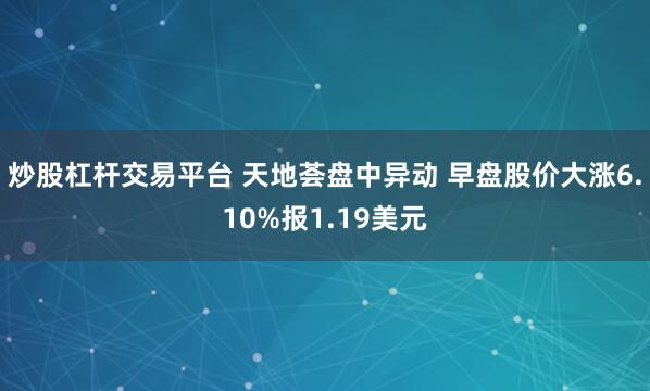 炒股杠杆交易平台 天地荟盘中异动 早盘股价大涨6.10%报1.19美元