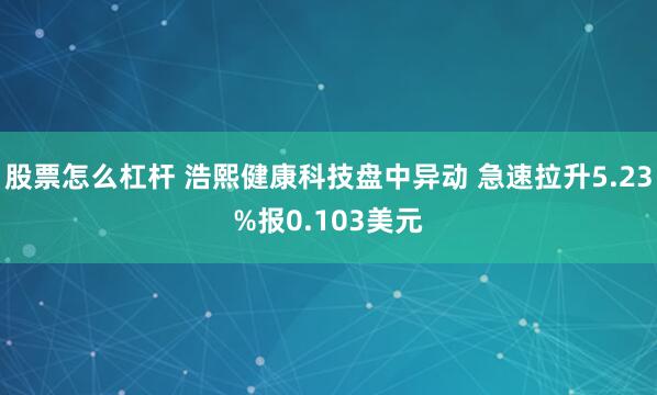 股票怎么杠杆 浩熙健康科技盘中异动 急速拉升5.23%报0.103美元