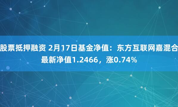 股票抵押融资 2月17日基金净值：东方互联网嘉混合最新净值1.2466，涨0.74%