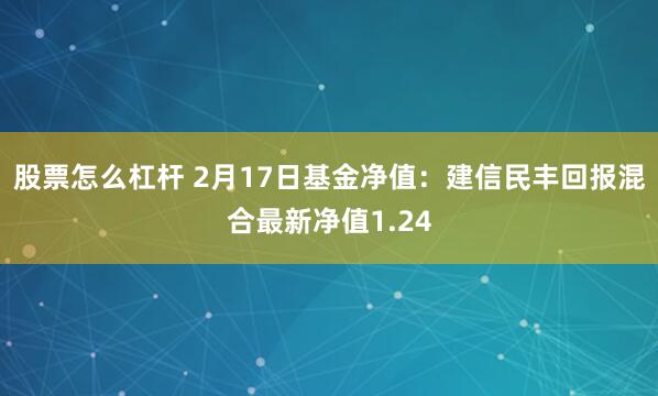 股票怎么杠杆 2月17日基金净值：建信民丰回报混合最新净值1.24