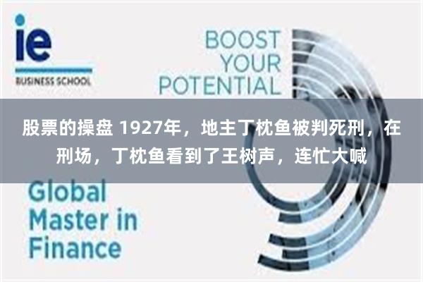 股票的操盘 1927年，地主丁枕鱼被判死刑，在刑场，丁枕鱼看到了王树声，连忙大喊