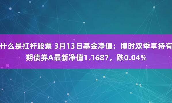 什么是扛杆股票 3月13日基金净值：博时双季享持有期债券A最新净值1.1687，跌0.04%